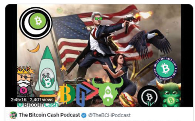 The Bitcoin Cash Podcast #113: Global Government & BCH Resistance feat. Aaron Day